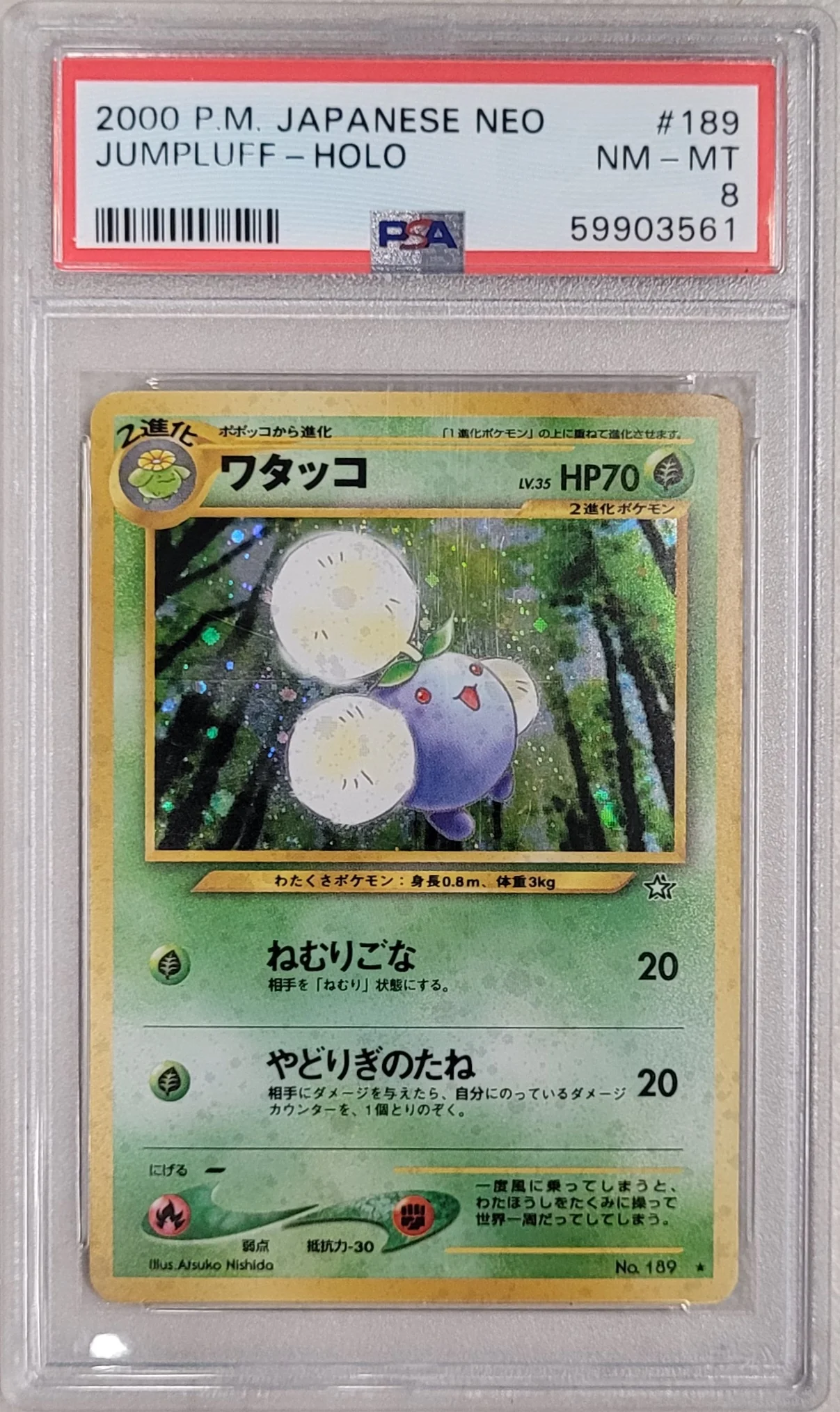 Pokémon Slabs